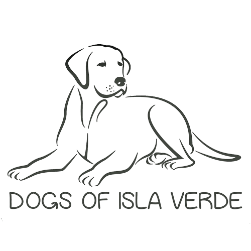Dogs of Isla Verde
