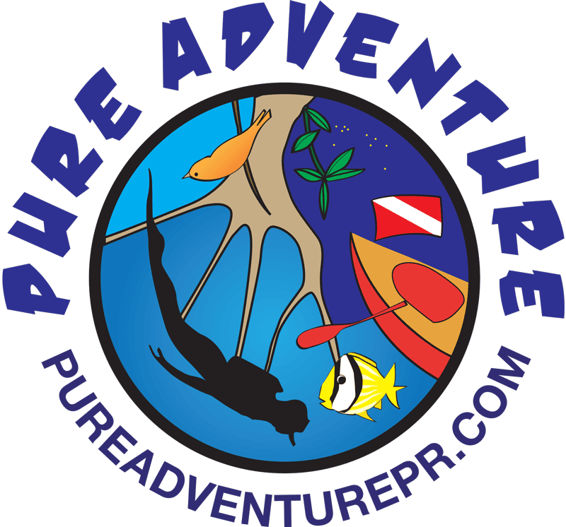Pure Adventure PR logo featuring scuba diver, kayak, fish, and nature elements representing Puerto Rico adventure tours